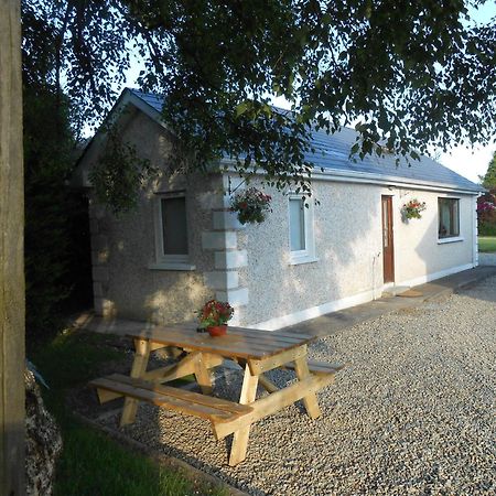 Birchdale Cottage Rathdrum Ngoại thất bức ảnh